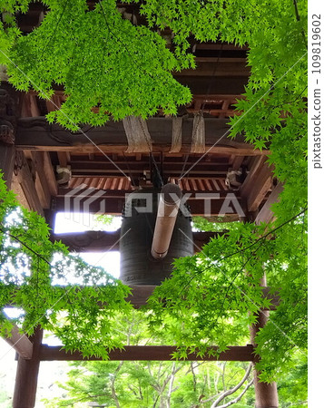 Early summer blue maple and temple bell ringing scene Early summer blue maple and temple bell ringing scene 109819602