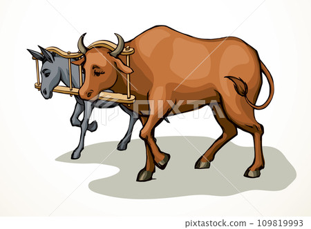 Vector drawing. Ox and donkey in one harness 109819993
