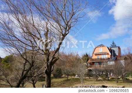 吉卜力公園風景與地球屋11 109820085
