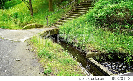 橫濱國際泳池附近的溪流風景 橫濱國際泳池附近的溪流風景 109820160