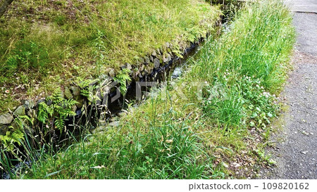 Scenery of the stream near Yokohama International Pool Scenery of the stream near Yokohama International Pool 109820162