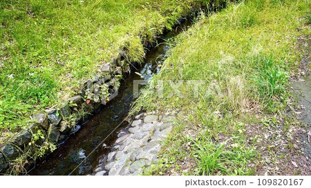 Scenery of the stream near Yokohama International Pool 109820167