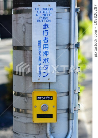 Pedestrian pushbutton with please wait display 109820287