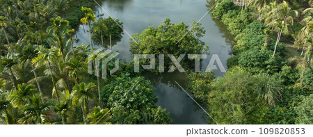 Beautiful landscape in tropical forst Beautiful landscape in tropical forst 109820853