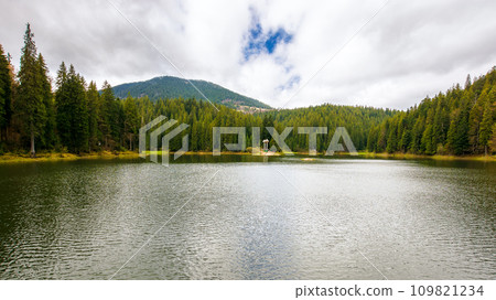 landscape of a synevyr lake in spring. scenery with fir forest on the shore and hills. beauty of carpathian mountains landscape of a synevyr lake in spring. scenery with fir forest on the shore and hills. beauty of carpathian mountains 109821234
