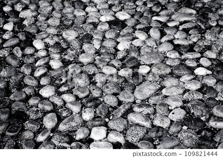 Round stones in the ground 109821444