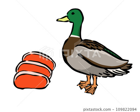 野鴨和鴨肉的插圖 野鴨和鴨肉的插圖 109822094