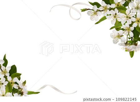Spring floral corners arrangements with small green leaves and flowers of cherry and scrolled satin ribons isolated on white Spring floral corners arrangements with small green leaves and flowers of cherry and scrolled satin ribons isolated on white 109822145