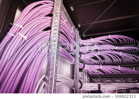 bunch of patch network cables sorted in rack cabinet, leading from patch panel in the server rack in the data center room 109822313