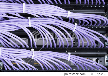 bunch of patch network cables sorted in rack cabinet, leading from patch panel in the server rack in the data center room 109822342