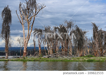Stunning landscape with Lake Naivasha Stunning landscape with Lake Naivasha 109822533