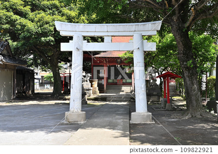 川口步行街/飯塚冰川神社 川口市飯塚市 川口步行街/飯塚冰川神社 川口市飯塚市 109822921
