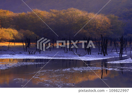 岩手縣遠野市秋季仙人渡 109822997