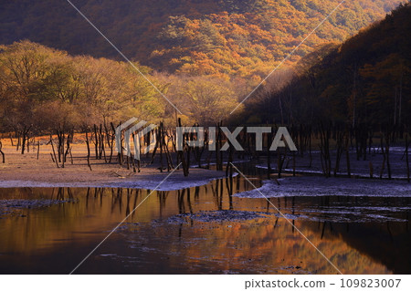 Tono City, Iwate Prefecture Autumn Sennin-Toge 109823007