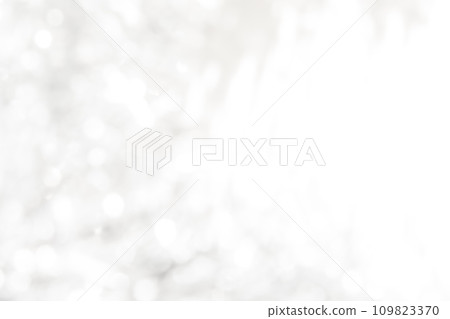Snow/fluffy background material Snow/fluffy background material 109823370