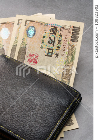 leather wallet and banknotes leather wallet and banknotes 109823902