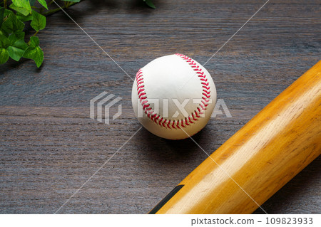 Hardball baseball and wooden bat 109823933