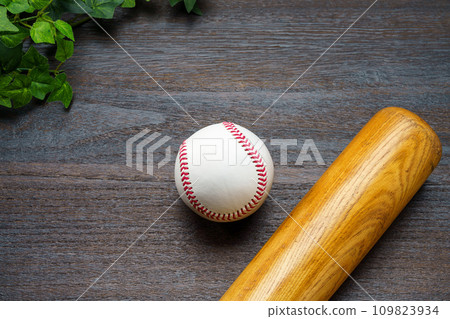 Hardball baseball and wooden bat 109823934