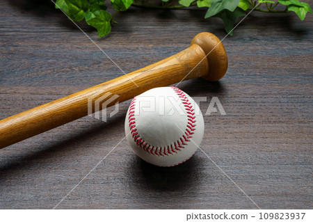 Hardball baseball and wooden bat Hardball baseball and wooden bat 109823937