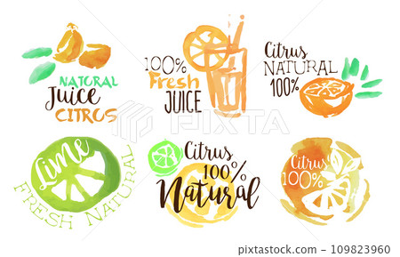 Fresh Natural Citrus Juice Labels Set Hand Drawn Watercolor Vector Illustration Fresh Natural Citrus Juice Labels Set Hand Drawn Watercolor Vector Illustration 109823960