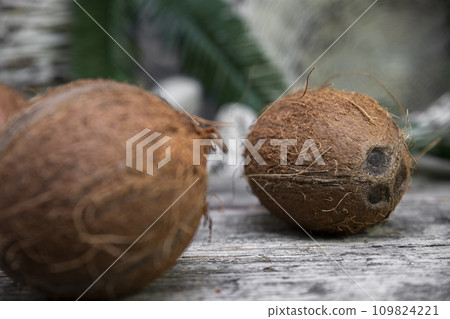 Coconuts on a old rustic wooden surface Coconuts on a old rustic wooden surface 109824221