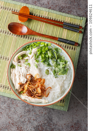 Asian chicken noodle soup with fried onions, green onions and cilantro close-up in a bowl. Vertical top view Asian chicken noodle soup with fried onions, green onions and cilantro close-up in a bowl. Vertical top view 109824611