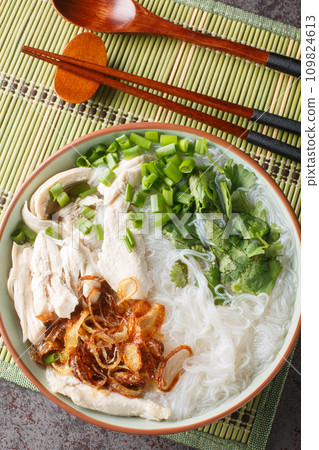 Oriental clear chicken soup with noodles, fried onions, green onions and cilantro close-up in a bowl on the table. Vertical top view Oriental clear chicken soup with noodles, fried onions, green onions and cilantro close-up in a bowl on the table. Vertical top view 109824613