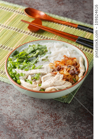 Asian chicken noodle soup with fried onions, green onions and cilantro close-up in a bowl. Vertical Asian chicken noodle soup with fried onions, green onions and cilantro close-up in a bowl. Vertical 109824616