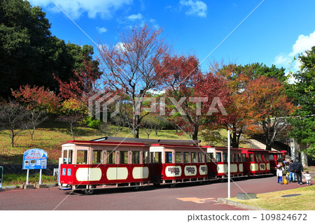 [Osaka Prefecture] Autumn leaves at Expo'70 Commemorative Park Forest Train (B'70 Koen Chuoguchi Station) 109824672