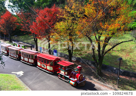 [Osaka Prefecture] Autumn leaves at Expo'70 Commemorative Park Forest Train (B'70 Koen Chuoguchi Station) 109824678