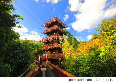 [Osaka Prefecture] Tomi-no-Oka Observation Tower at Expo Commemorative Park in Autumn Leaves 109824719