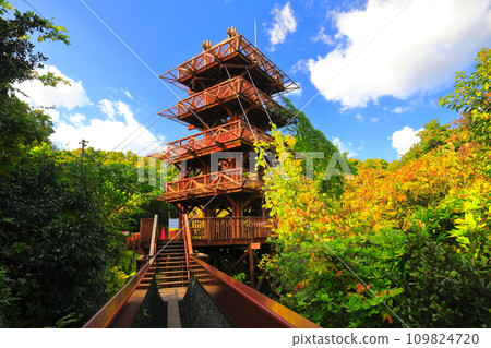 [Osaka Prefecture] Tomi-no-Oka Observation Tower at Expo Commemorative Park in Autumn Leaves 109824720