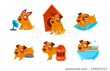 Cute Little Dog Character Set, Funny Brown Puppy in Different Situations Vector Illustration 109825015