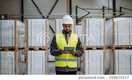 Warehouseman with tablet checking delivery, stock in warehouse. Warehouse manager using warehouse management software, app. 109825017