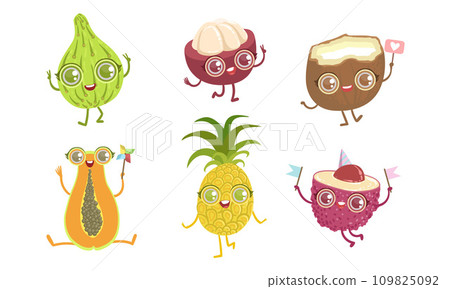 Funny Tropical Fruit Characters Set, Papaya, Pineapple, Lychee, Coconut, Mangosteen, Guava Vector Illustration 109825092