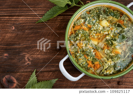 Vegan fresh nettle soup. 109825117