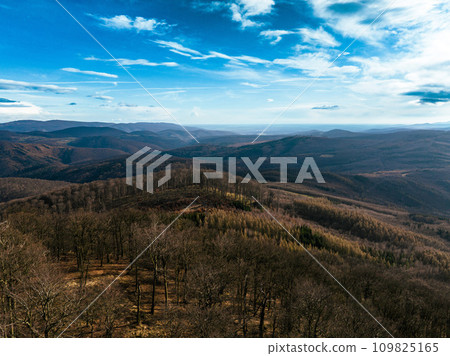 Aerial view of awakening spring nature. Deciduous forest with leafless trees, early spring, spring sunshine rays. 109825165