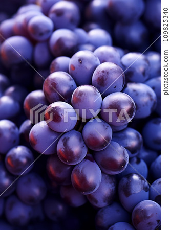 AI-generated content. Blue grape bunch close up, wine package background, design element with copy space, AI generated 109825340