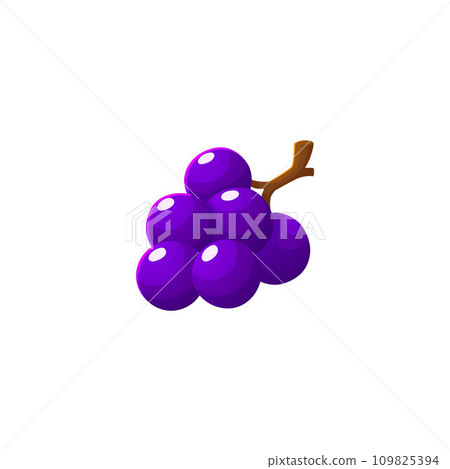 Grapes icon for game or fruit lotto, flat cartoon vector illustration isolated. 109825394