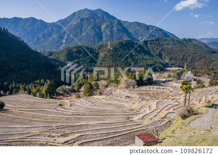 Maruyama Senmaida in winter (Kumano City, Mie Prefecture) Maruyama Senmaida in winter (Kumano City, Mie Prefecture) 109826172