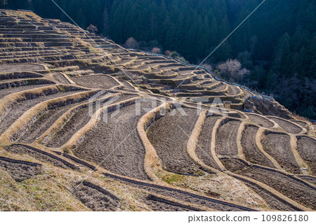 冬天的丸山千枚田(三重縣熊野市) 冬天的丸山千枚田(三重縣熊野市) 109826180