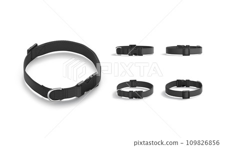 Blank black dog collar with plastic buckle mockup, different views 109826856