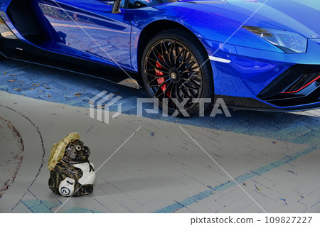藍色超級跑車和浣熊娃娃 109827227
