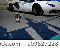 white supercar and raccoon doll 109827228