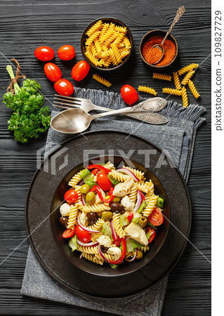 fusilli salad with mozzarella, veggies in a bowl fusilli salad with mozzarella, veggies in a bowl 109827729