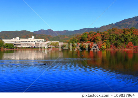 [京都府]京都國際會議中心的晴空和紅葉（寶池公園） 109827964