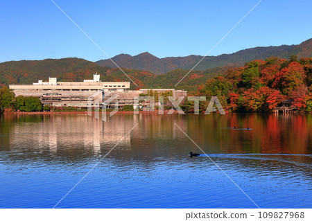 [京都府]京都國際會議中心的晴空和紅葉（寶池公園） 109827968