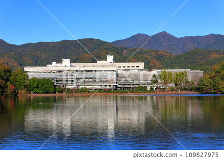 [Kyoto Prefecture] Clear skies at Kyoto International Conference Center and autumn leaves (Takaragaike Park) 109827975