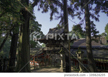 奈良的寺廟 奈良的寺廟 109828205