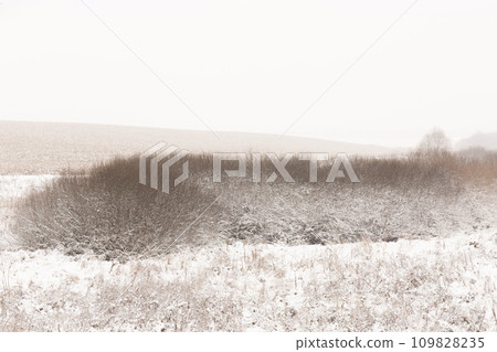 Minimalistic monochrome winter snowy landscape 109828235